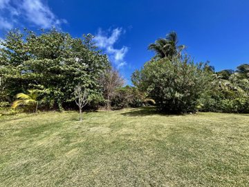 d1020495-09cc-4673-bac0-75ff5f71b48b