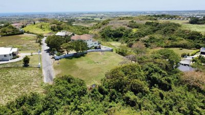 800f06c6-7ba4-4903-ada2-8858e7173580