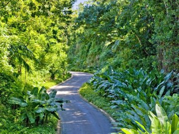 c94cf892-aebd-445b-9ee5-971d658d3f92