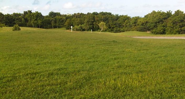 Image No.4-Land for sale