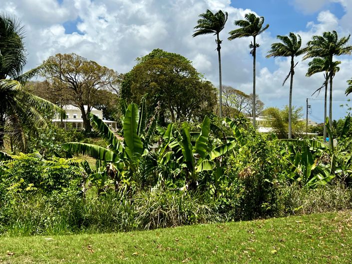 Image No.29-5 Bed Land for sale