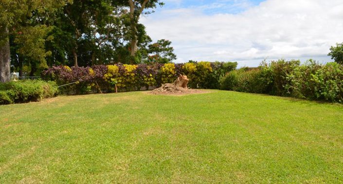 Image No.6-8 Bed House for sale