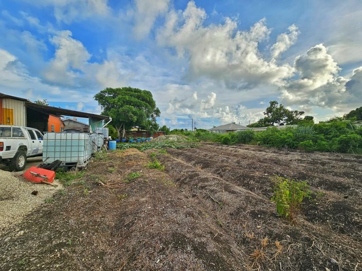 Image No.5-3 Bed House for sale