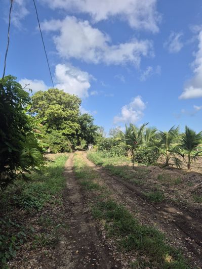 Image No.5-Land for sale