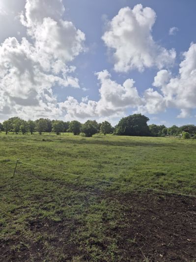 Image No.6-Land for sale