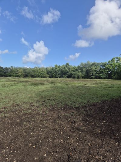Image No.7-Land for sale