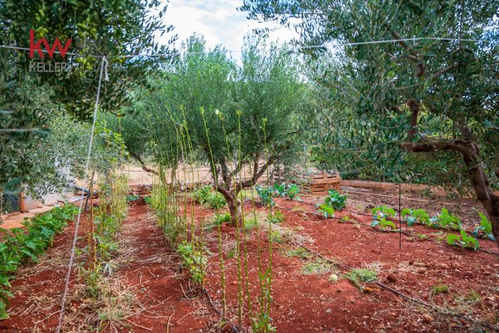 Image No.24-Maison de 4 chambres à vendre à Elos