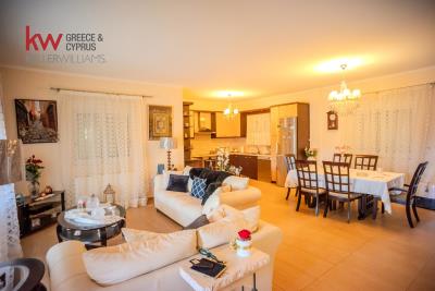 d440c80fd3e04f3cb1bd21f7aff77530