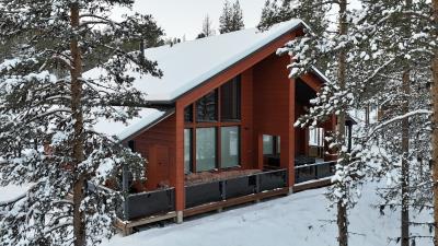 dji_fly_20251114_111106_0074_1763117373617_photo-2-kopio