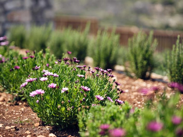 Image No.9-5 Bed Villa for sale