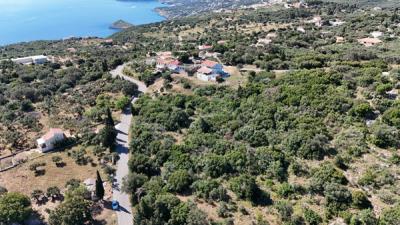 dji_fly_20250601_103206_0106_1748881944107_photo_1