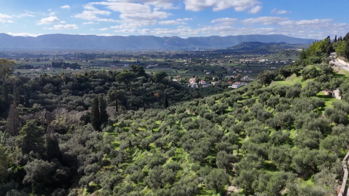 Image No.4-Land for sale