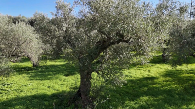 Screenshot-2025-11-18-180823