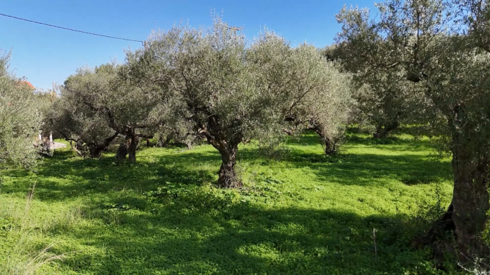 Image No.8-Land for sale