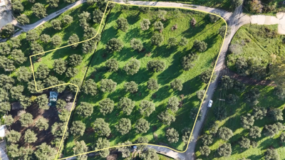 Screenshot-2025-12-10-131430