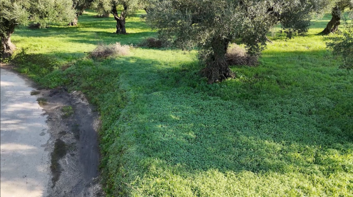 Image No.6-Land for sale