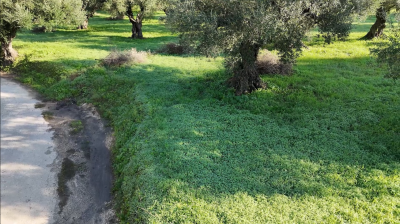 Screenshot-2025-12-10-131452