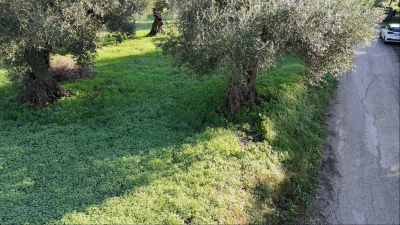 Screenshot-2025-12-10-131522