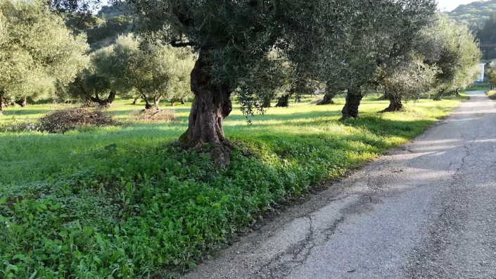 Image No.8-Land for sale