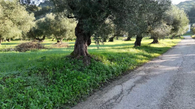 Screenshot-2025-12-10-131537