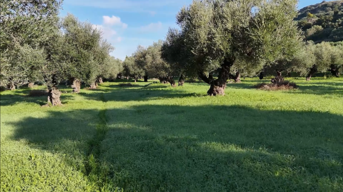 Image No.9-Land for sale