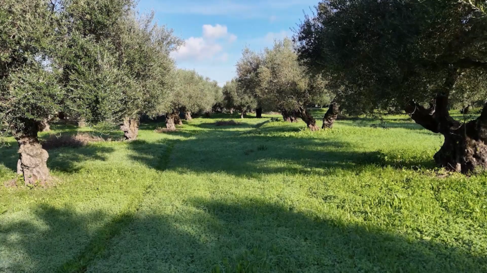 Image No.10-Land for sale