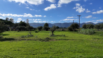 Screenshot-2025-11-17-201923