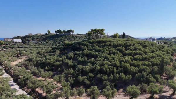 Image No.3-Land for sale