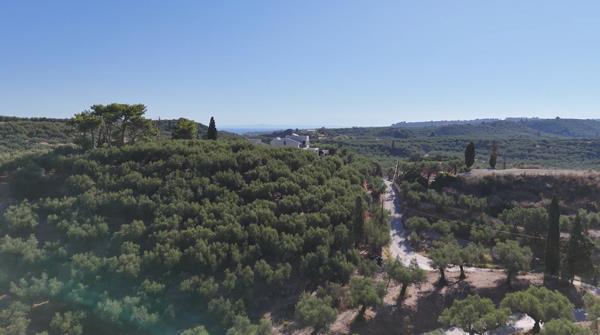 Image No.4-Land for sale