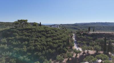 Screenshot-2025-08-28-174124