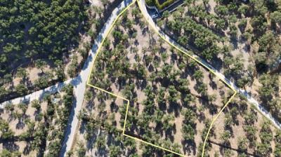 Screenshot-2025-08-28-174201