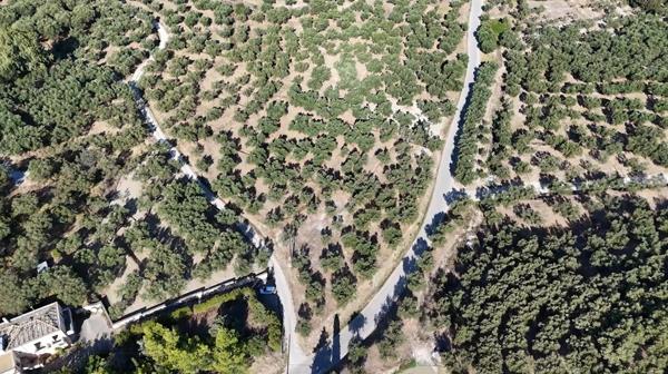 Image No.5-Land for sale