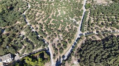 Screenshot-2025-08-28-174145