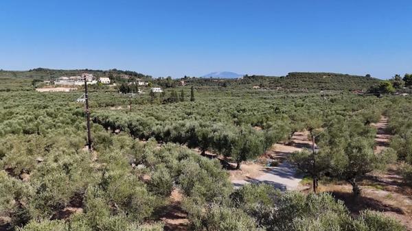 Image No.6-Land for sale