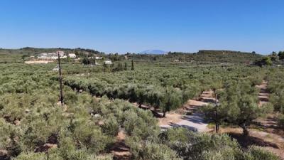 Screenshot-2025-08-28-174220