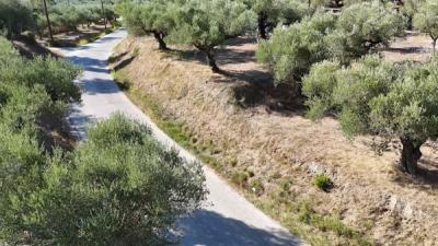 Screenshot-2025-08-28-174235