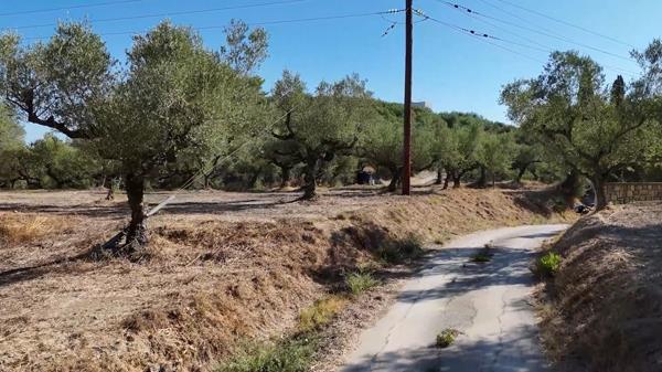 Image No.8-Land for sale