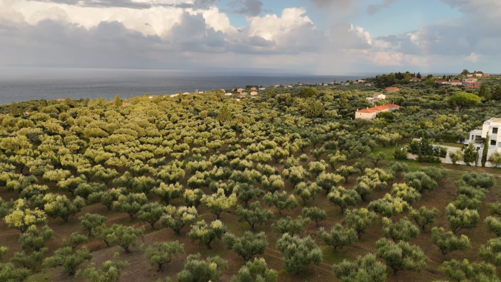 Image No.3-Land for sale