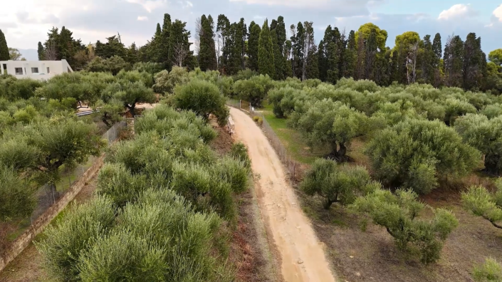 Image No.6-Land for sale