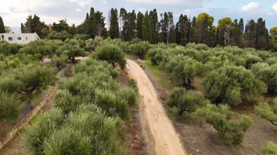 Screenshot-2025-10-08-122518