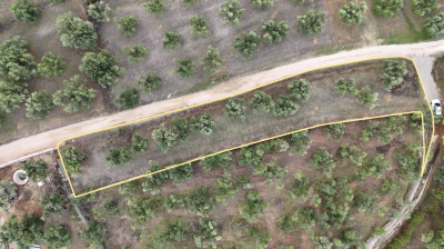 Screenshot-2025-10-08-122539