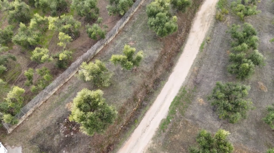 Screenshot-2025-10-08-122549