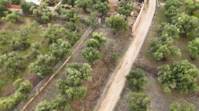 Screenshot-2025-10-08-122601