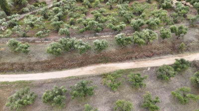 Screenshot-2025-10-08-122615