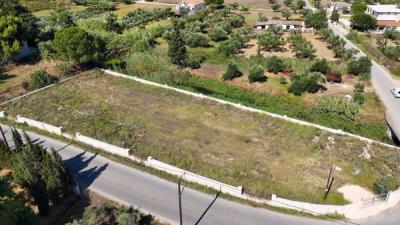 Screenshot-2025-08-11-114610