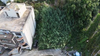 dji_fly_20250519_174510_0088_1747674880442_photo