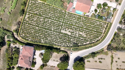 Screenshot-2025-07-28-112458