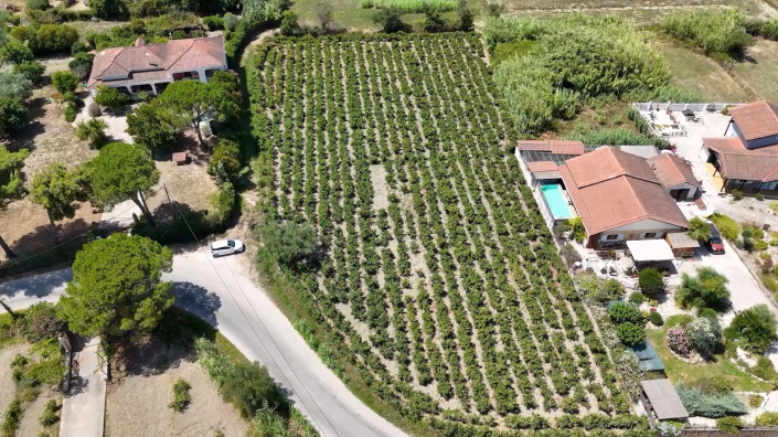 Image No.3-Land for sale