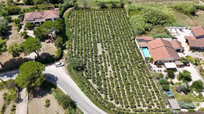 Screenshot-2025-07-28-112428