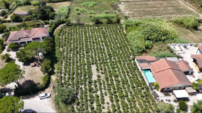 Image No.4-Land for sale